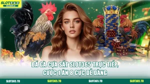 Đá gà cựa sắt