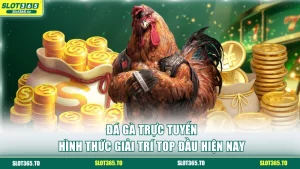 Đá gà trực tuyến