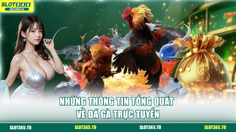 Giới thiệu chung về đá gà trực tuyến hiện nay