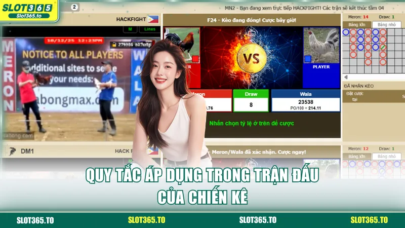 Quy tắc áp dụng trong trận đấu của chiến kê