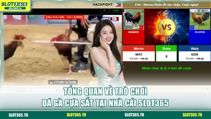 Tổng quan về trò chơi đá gà cựa sắt SLOT365
