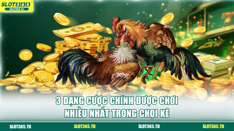 3 dạng cược chính được chơi nhiều nhất trong chọi kê