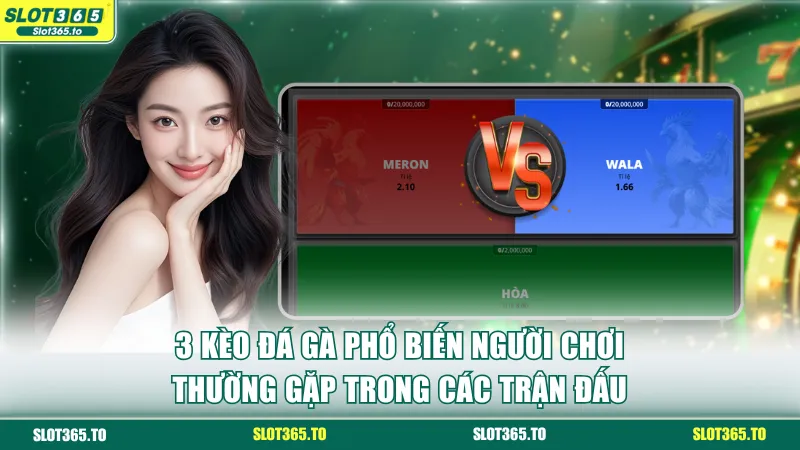 3 kèo đá gà phổ biến người chơi thường gặp trong các trận đấu