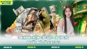 Kinh nghiệm cá cược đá gà