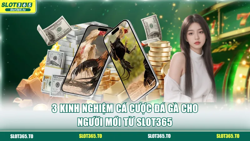 Kinh nghiệm cá cược đá gà