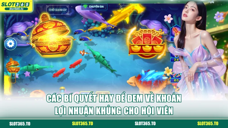 Các bí quyết hay để đem về khoản lợi nhuận khủng cho hội viên
