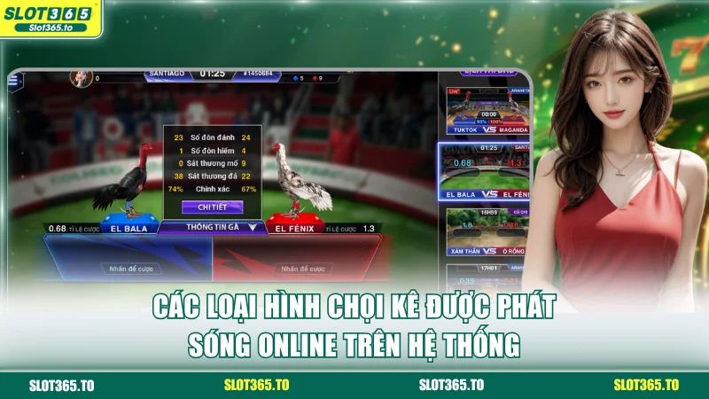 Các loại hình chọi kê được phát sóng online trên hệ thống