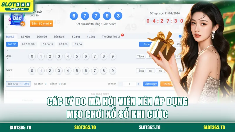 Các lý do mà hội viên nên áp dụng mẹo chơi xổ số khi cược