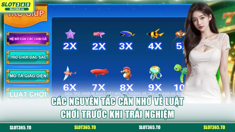 Các nguyên tắc cần nhớ về luật chơi trước khi trải nghiệm