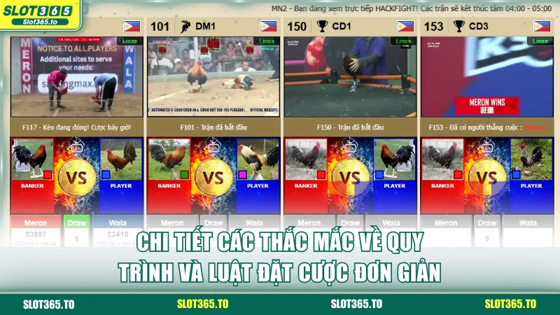 Chi tiết các thắc mắc về quy trình và luật đặt cược đơn giản