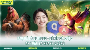 FAQ đá gà SLOT365