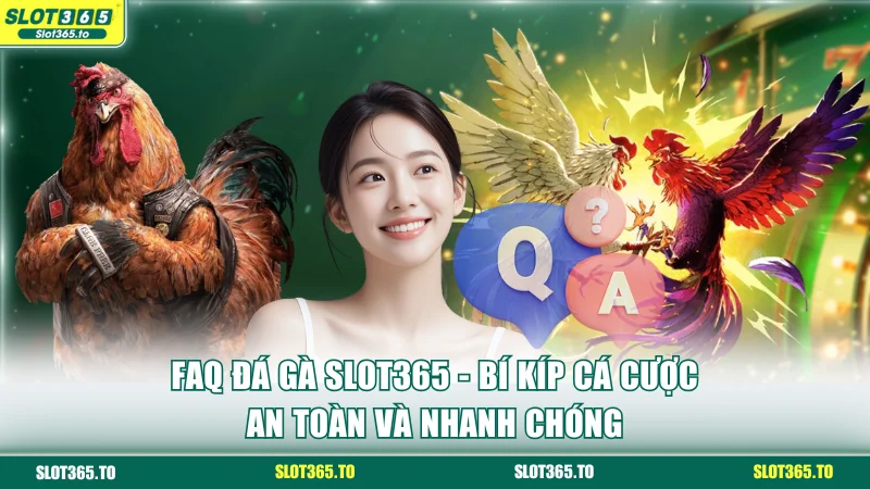 FAQ đá gà SLOT365