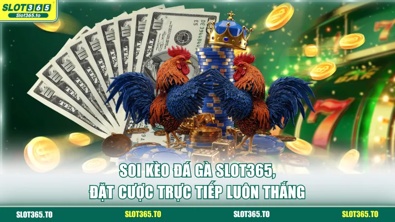 kèo đá gà