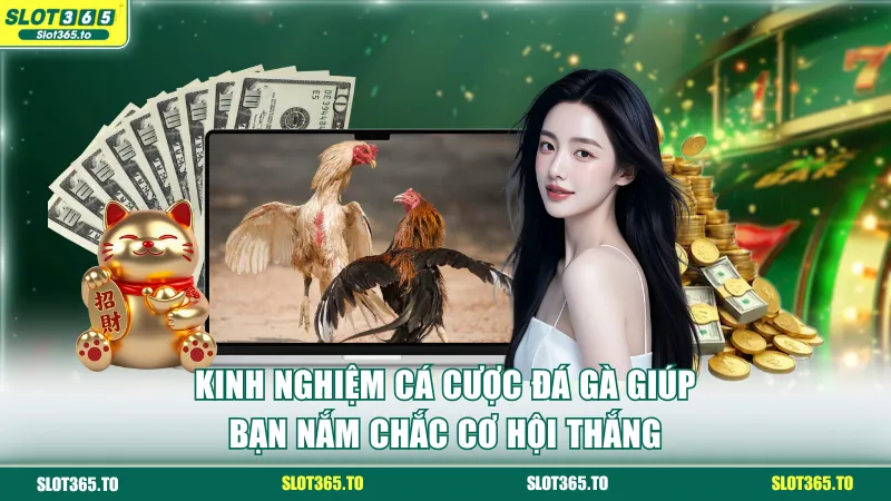 Kinh nghiệm cá cược đá gà giúp bạn nắm chắc cơ hội thắng