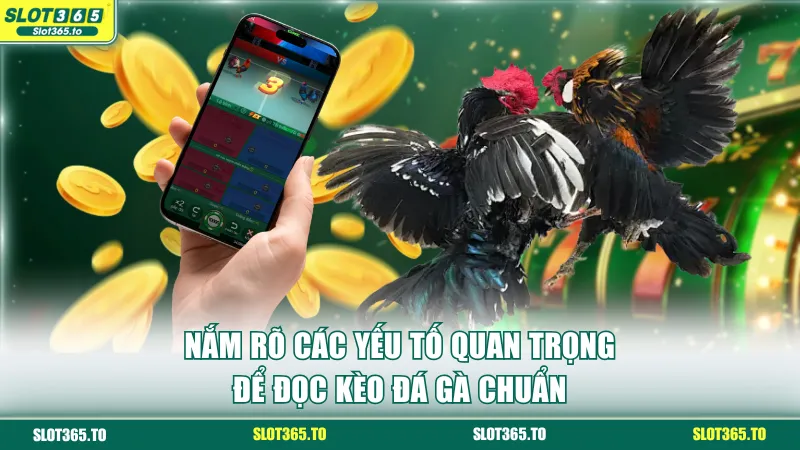 Nắm rõ các yếu tố quan trọng để đọc kèo đá gà chuẩn